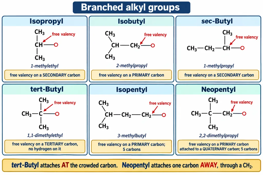Six branched alkyl groups with the free valency marked on each carbon