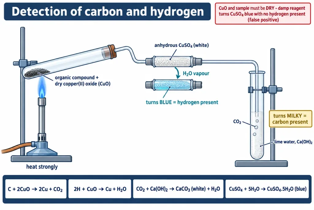 Copper oxide test for carbon and hydrogen with lime water and copper sulphate
