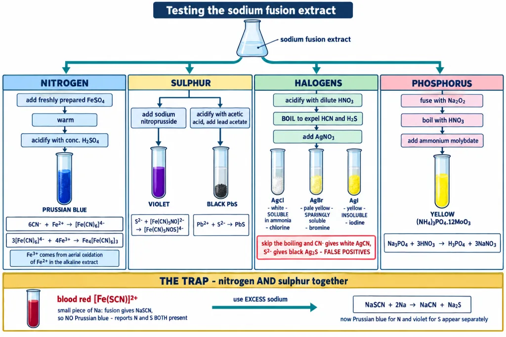 Flow chart of tests for nitrogen sulphur halogens and phosphorus with colours
