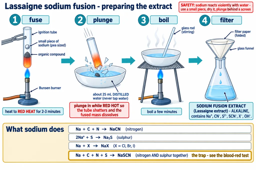 Lassaigne sodium fusion test tube plunged into water then boiled and filtered