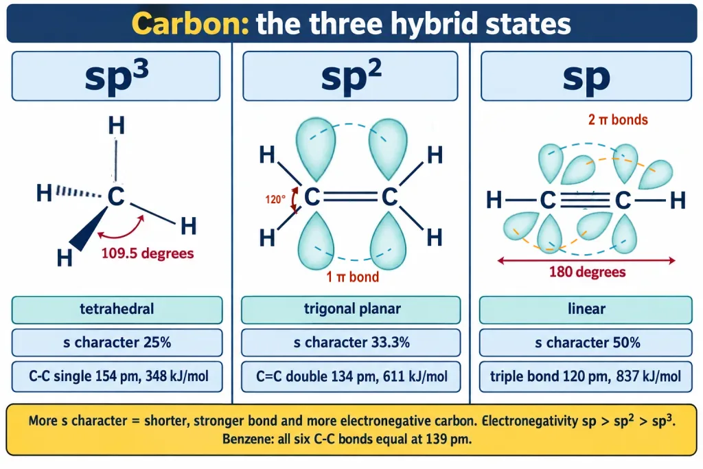 Revision strip of sp3 sp2 and sp carbon with shape angle and bond length