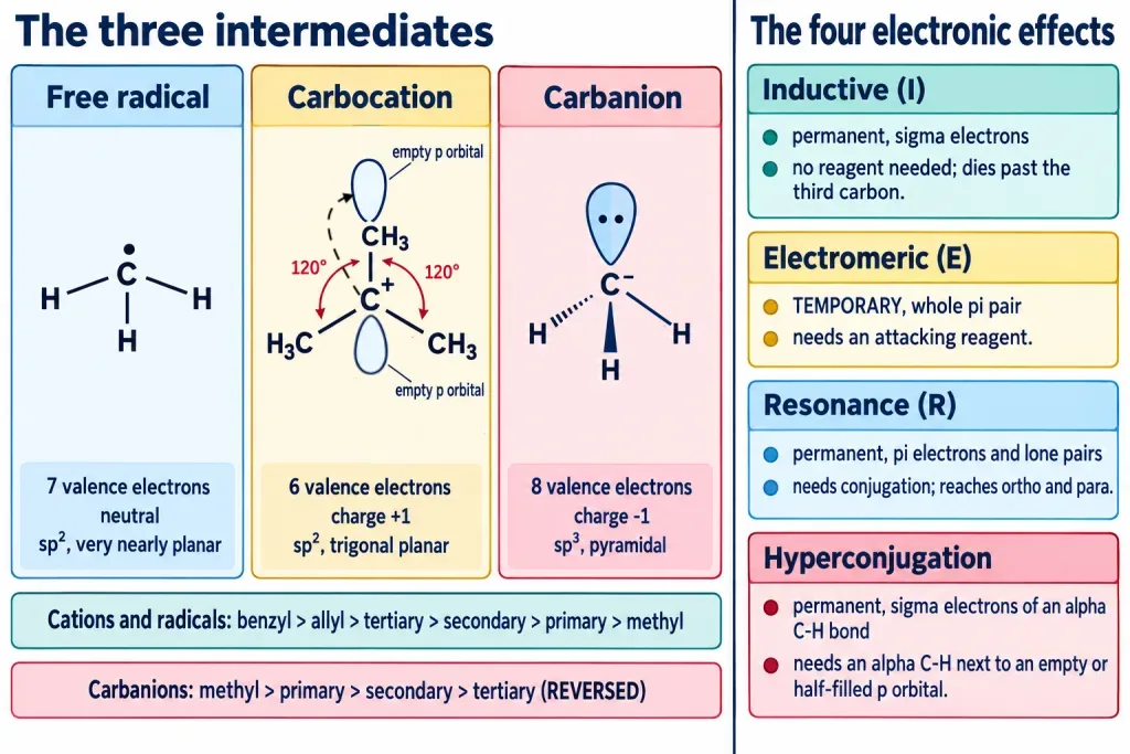 Revision card comparing radical carbocation and carbanion with the four electronic effects