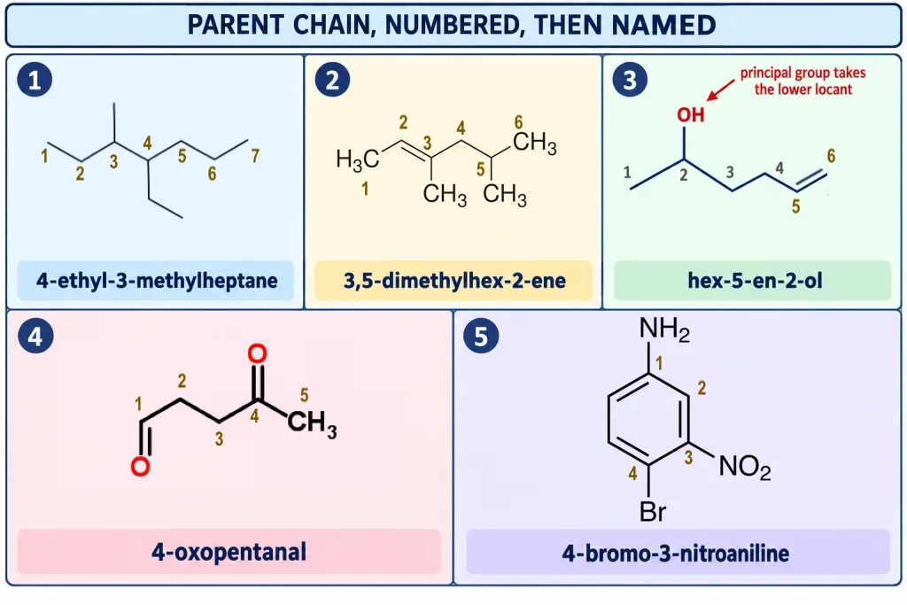 Five worked structures with numbered parent chains and their full IUPAC names