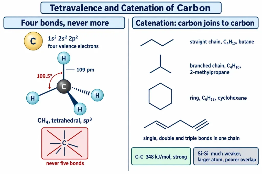 Carbon four valence electrons methane tetrahedron and catenation into chains branches and rings