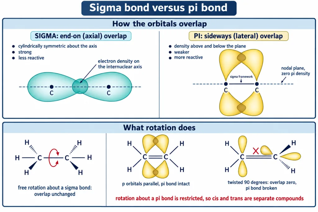 Head-on sigma overlap versus sideways pi overlap and restricted rotation in ethene
