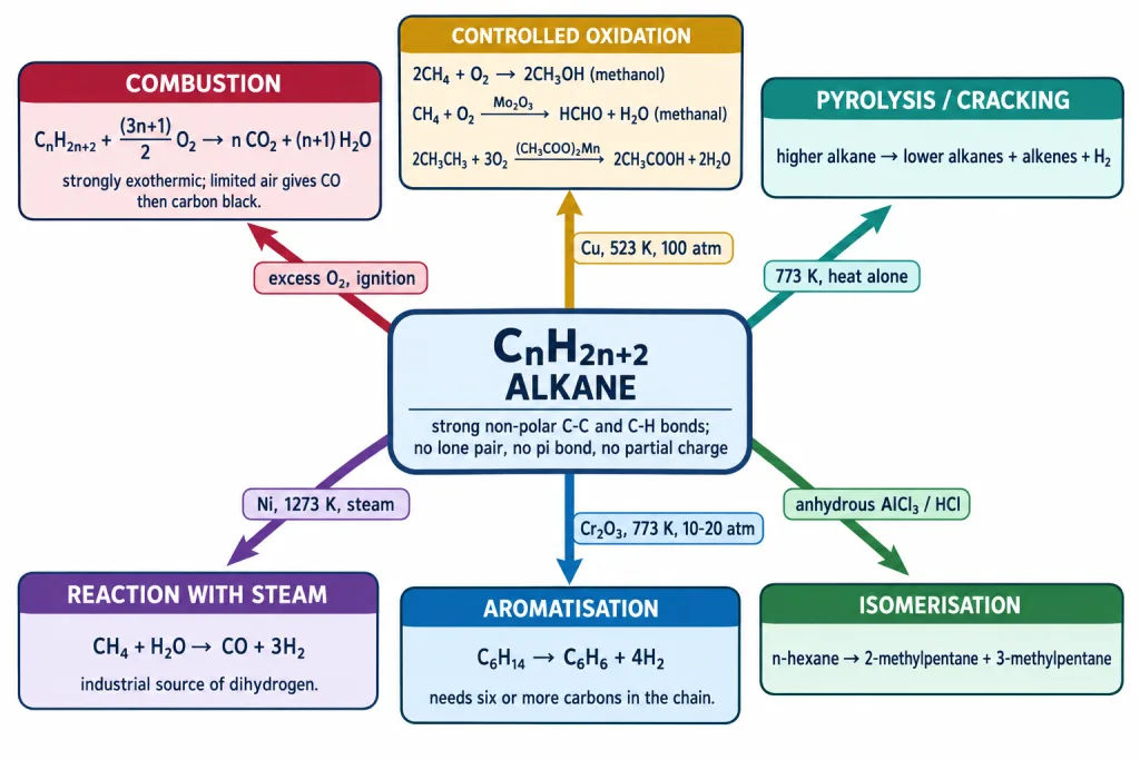 Reaction map of alkane showing combustion oxidation cracking isomerisation aromatisation and steam reforming