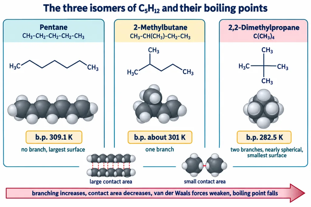Three isomeric pentanes with structures shapes and boiling points compared