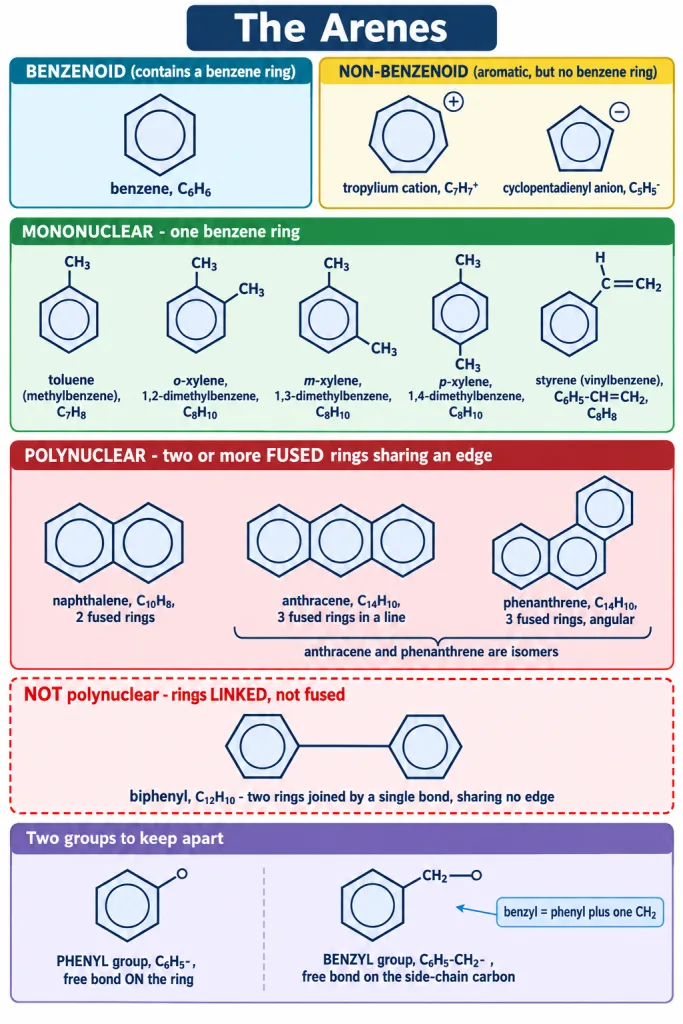Arene family tree with mononuclear and polynuclear examples and the phenyl and benzyl groups