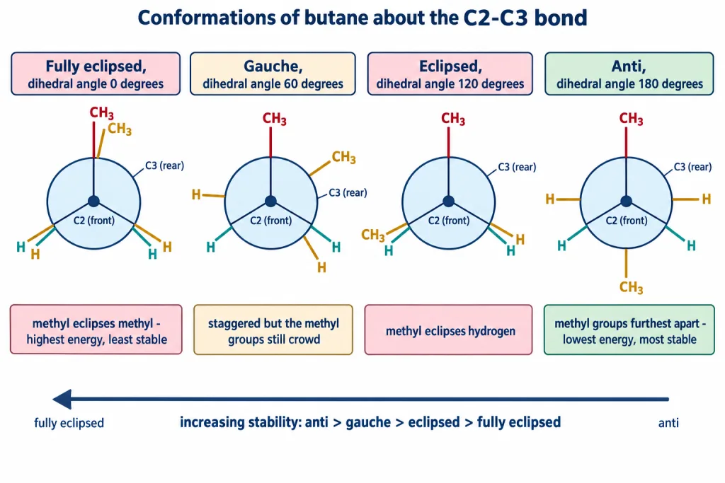 Newman projections of butane showing anti gauche eclipsed and fully eclipsed forms