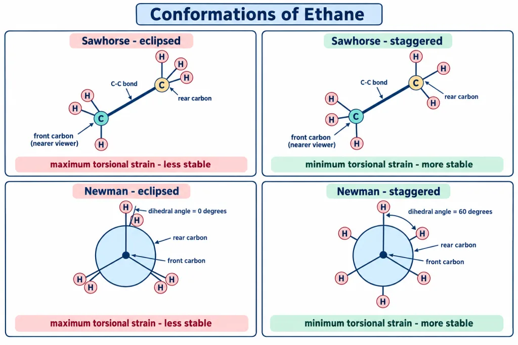 Sawhorse and Newman projections of eclipsed and staggered ethane side by side