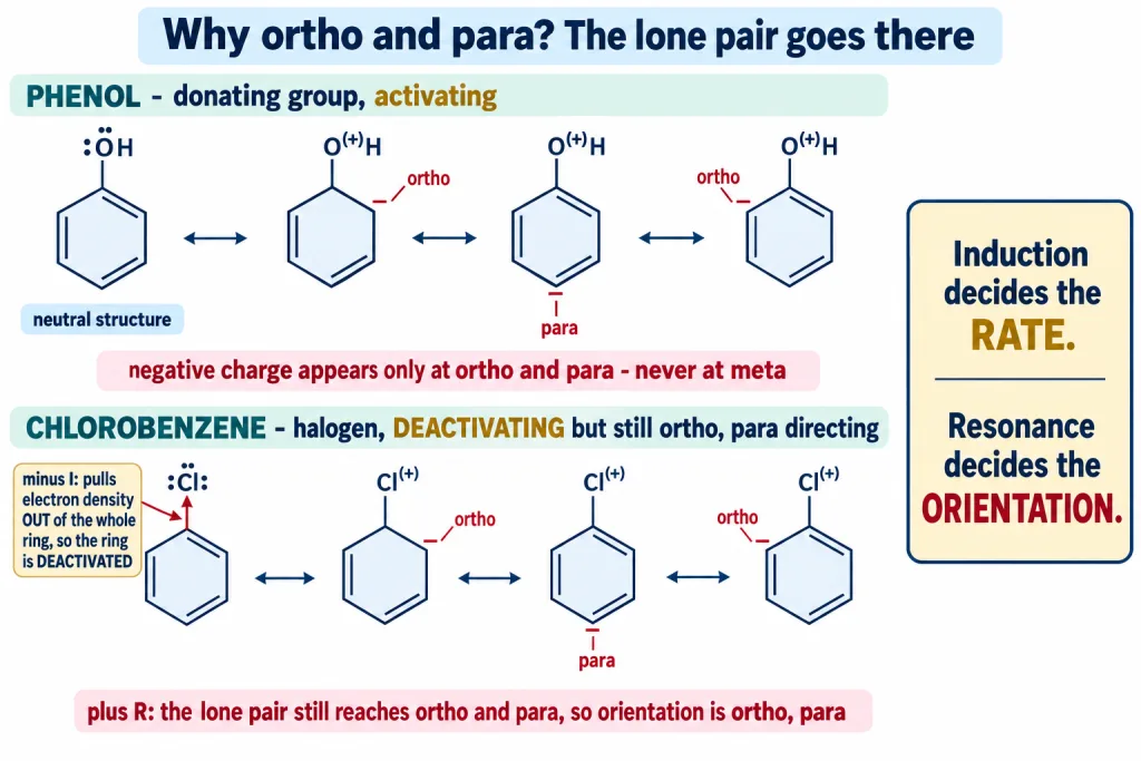 Resonance in phenol and in chlorobenzene placing negative charge at ortho and para carbons
