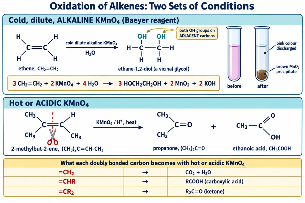 Alkene oxidation by cold alkaline permanganate and by hot acidic permanganate compared