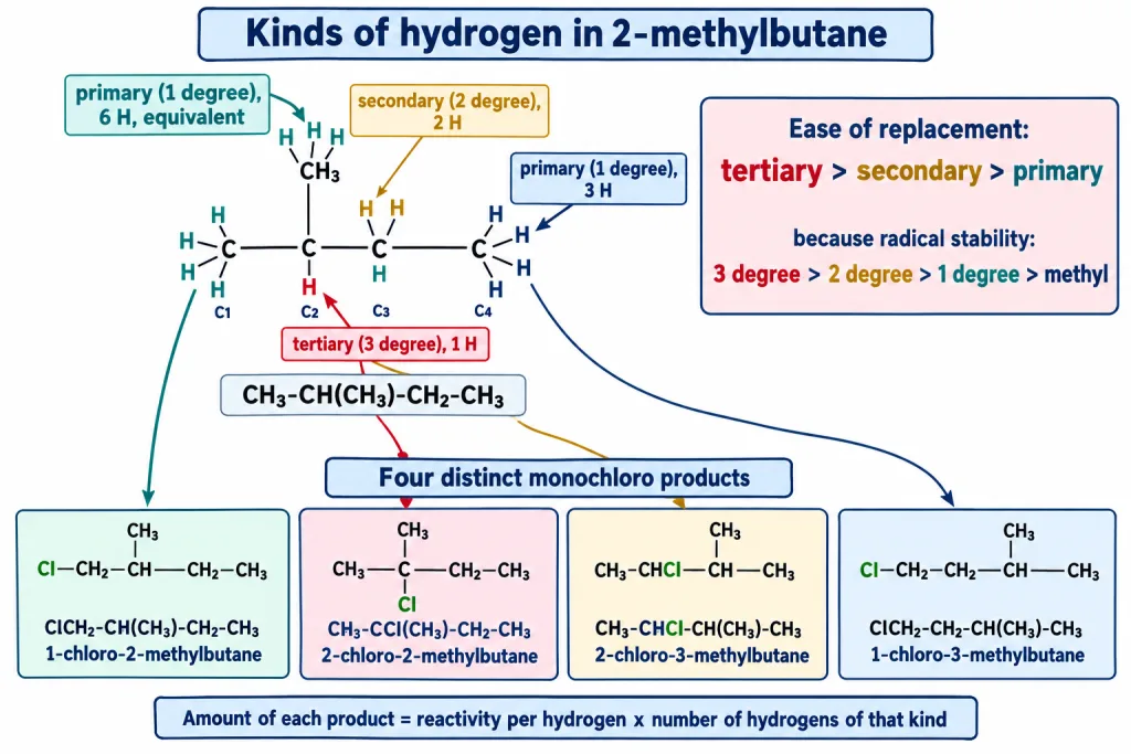 Primary secondary and tertiary hydrogens of 2-methylbutane and its four monochloro products