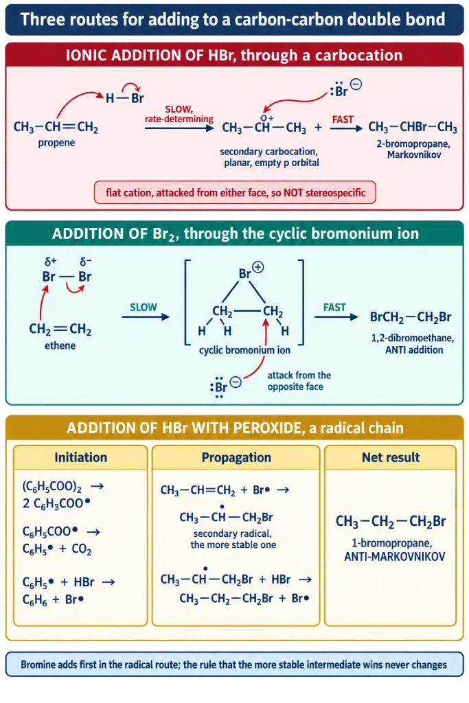 Three addition mechanisms compared carbocation bromonium bridge and radical chain