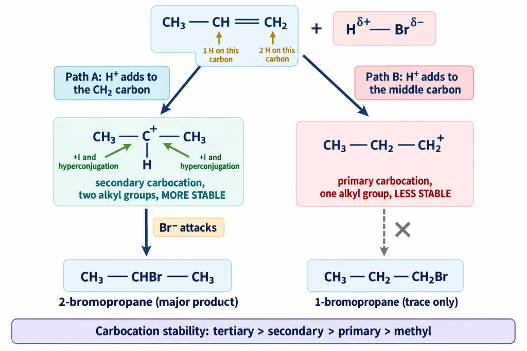 Two carbocation routes for propene plus HBr giving 2-bromopropane as major product