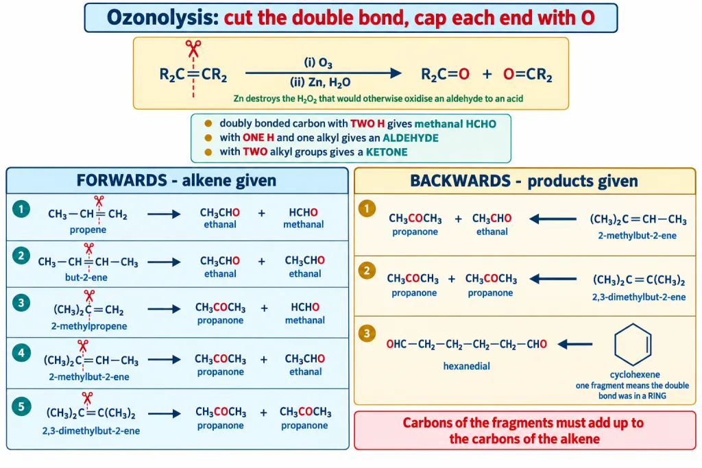 Ozonolysis cut card showing five alkenes cleaved to their carbonyl fragments