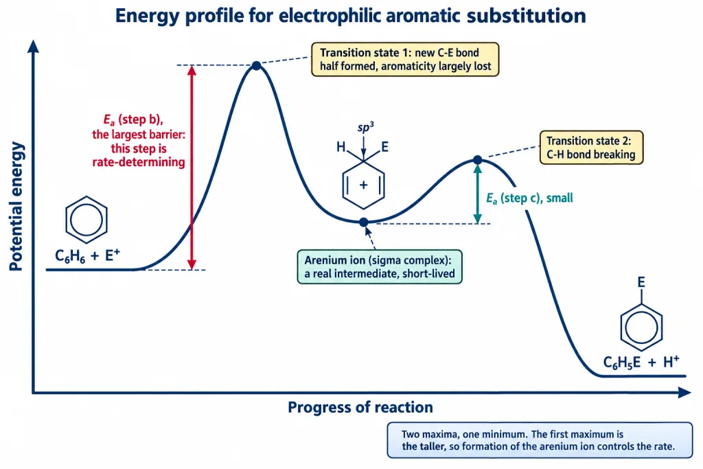 Energy profile for electrophilic aromatic substitution with two maxima and one minimum