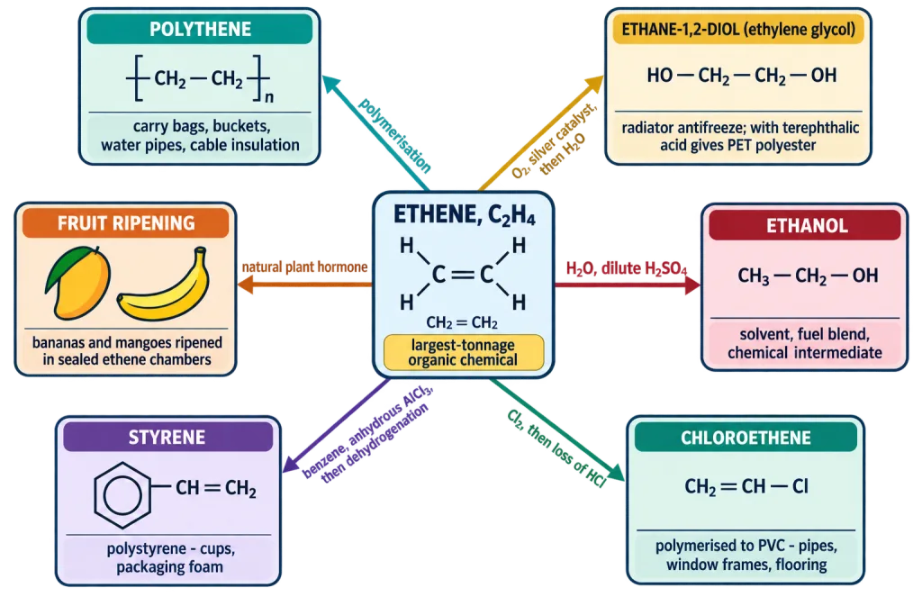Ethene branching to polythene glycol ethanol PVC styrene and fruit ripening