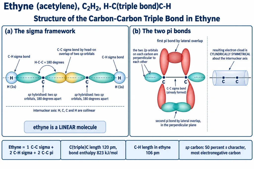 Orbital picture of ethyne showing sp hybrid sigma bonds and two perpendicular pi bonds