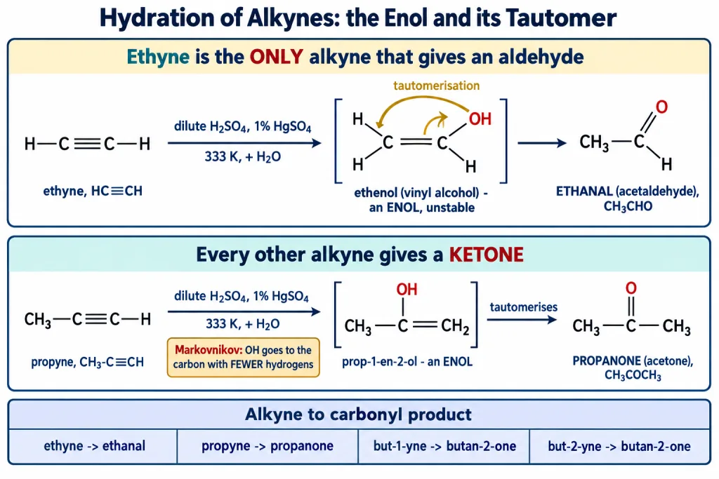 Hydration of ethyne to ethanal and of propyne to propanone through their enols