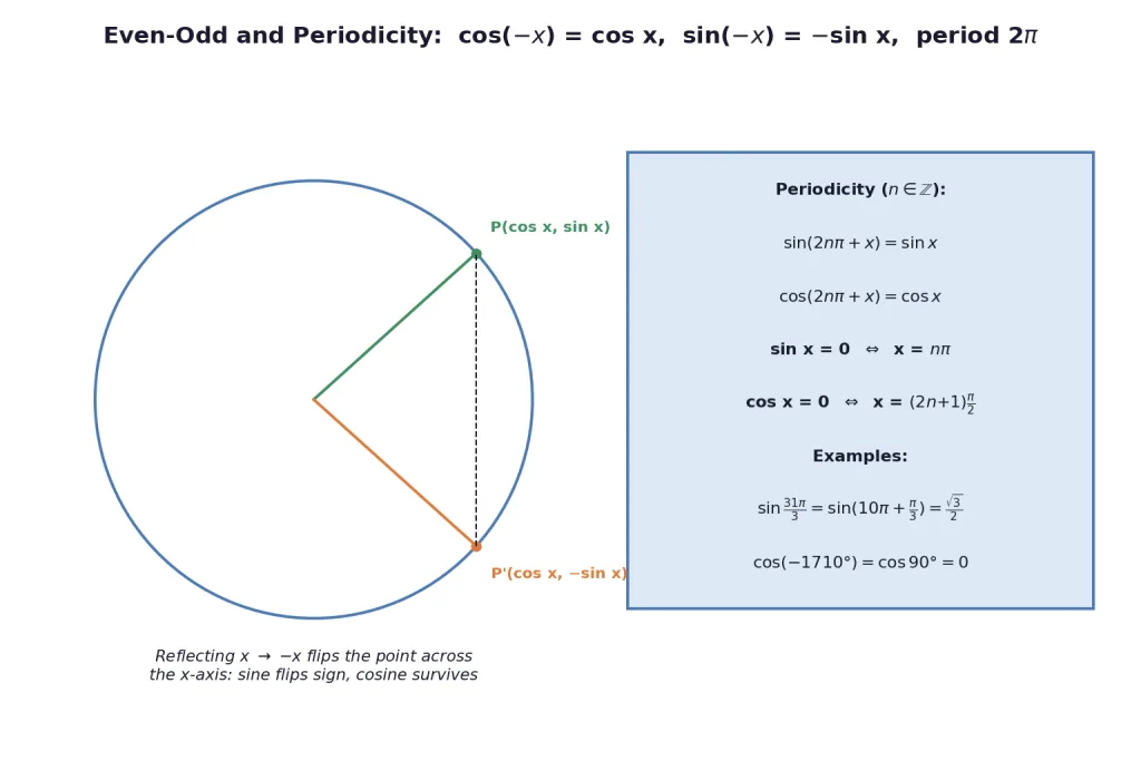 Reflection on unit circle showing even cosine odd sine and periodicity facts