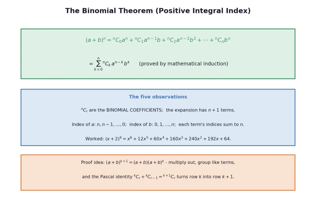 Binomial theorem statement sigma form and observations card
