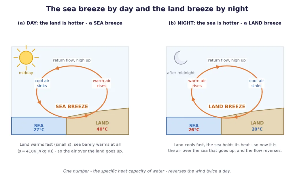 Sea breeze circulation by day and the reversed land breeze at night