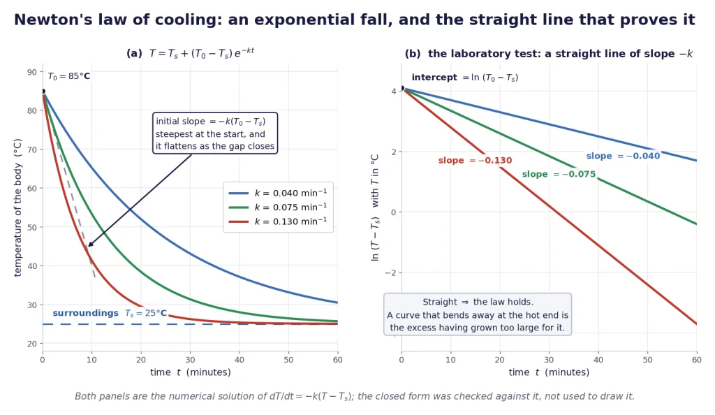 Exponential cooling curves and the straight log plot that verifies the law