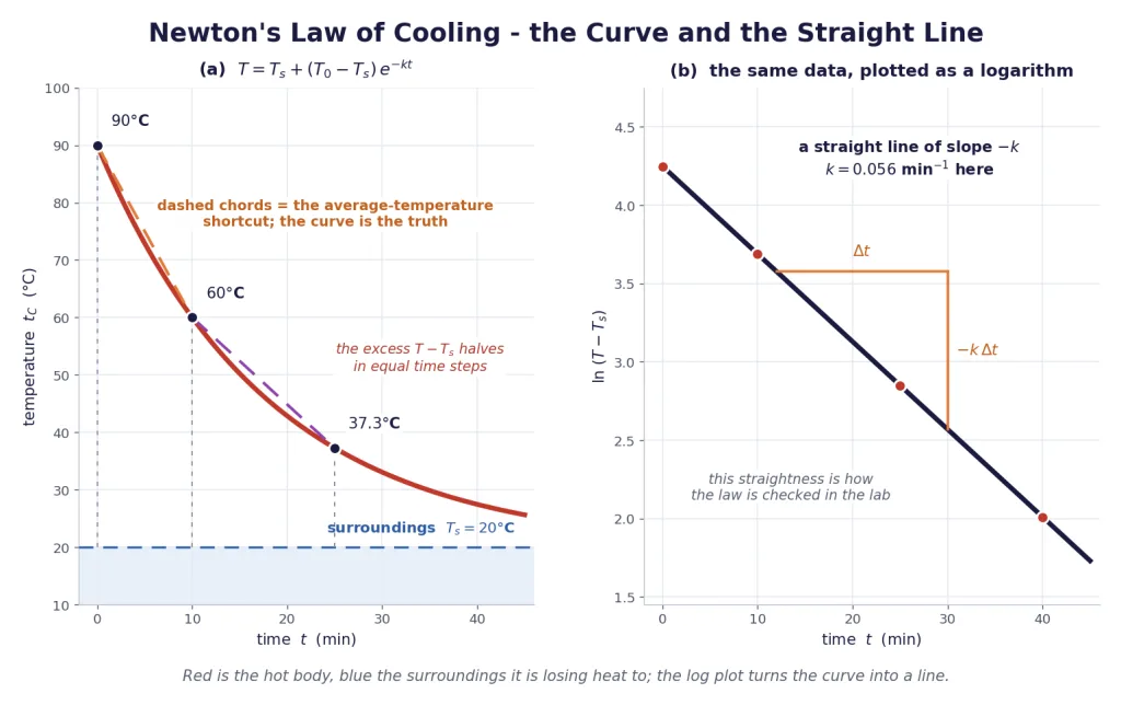 Newton cooling curve and the straight line of its logarithm plot