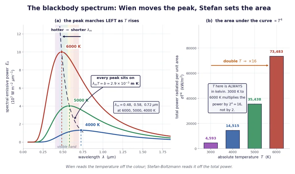 Blackbody curves at three temperatures with Wien peaks marked and Stefan area bars
