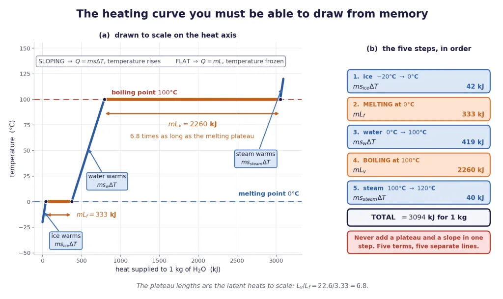 Ice to steam heating curve to scale with both latent heat plateaus labelled