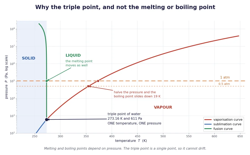 Phase diagram of water with the triple point and pressure-dependent melting point