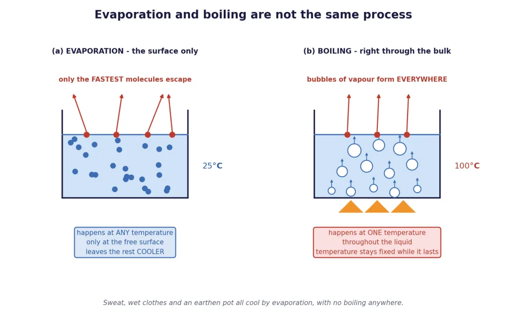 Evaporation from the surface at any temperature against boiling throughout the bulk