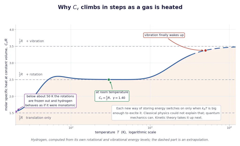 Molar specific heat of hydrogen rising in steps as rotation then vibration switch on