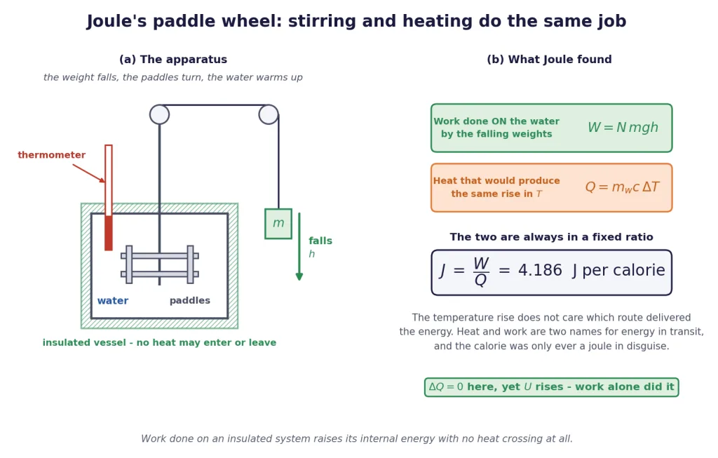 Joule paddle wheel: falling weights stir water and raise its temperature