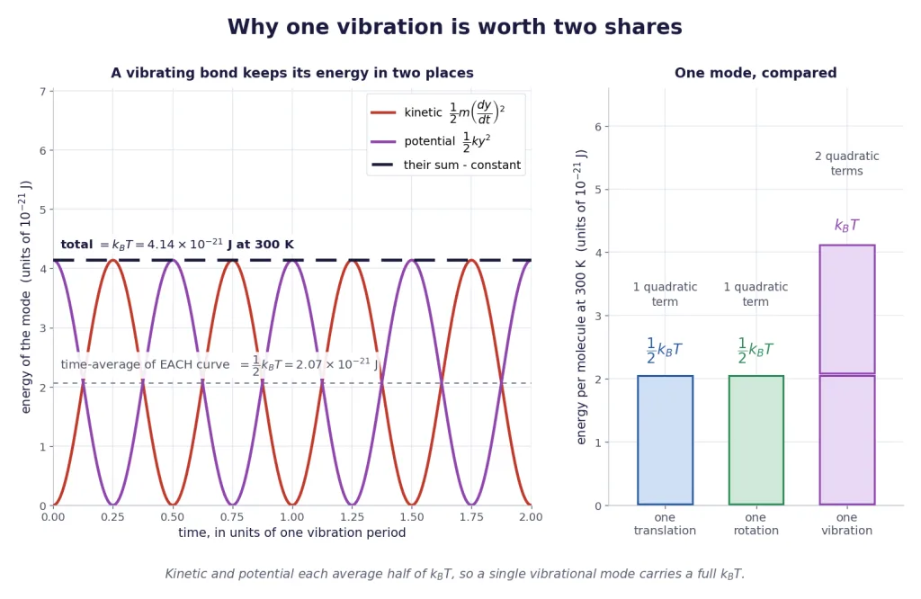 Oscillator kinetic and potential energy each averaging half k_B T over one period