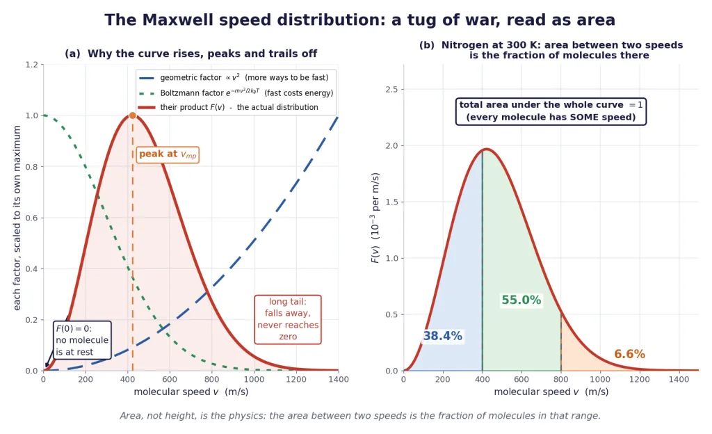 Maxwell speed curve from v-squared factor times exponential, with shaded fraction bands