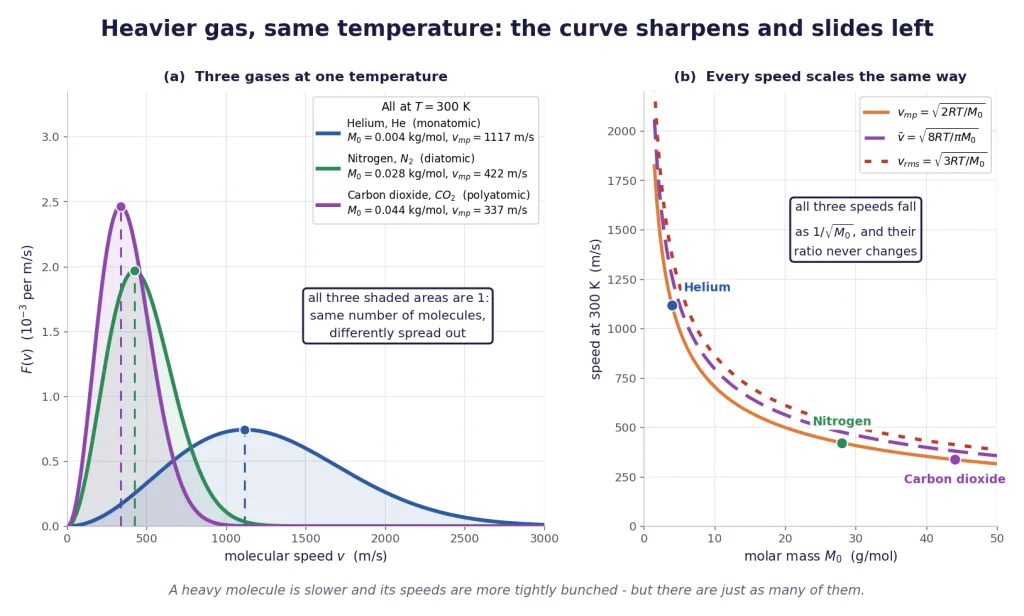Speed distributions of helium, nitrogen and carbon dioxide at equal area and temperature
