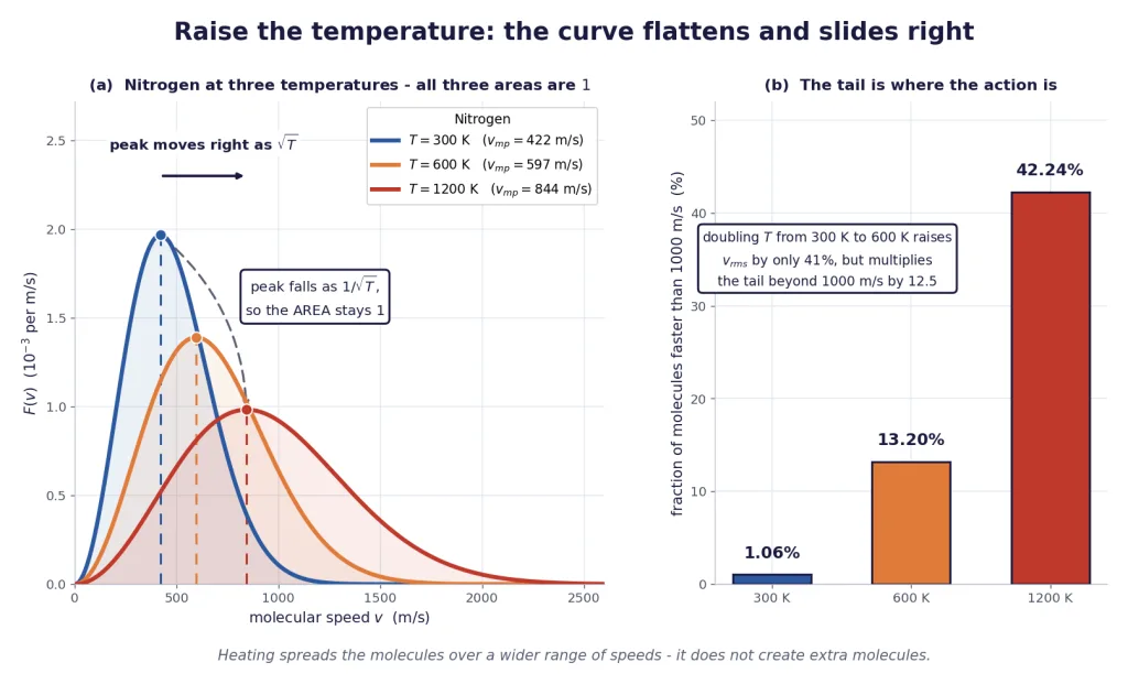 Nitrogen speed curves at three temperatures, equal areas, peak lowers and shifts right