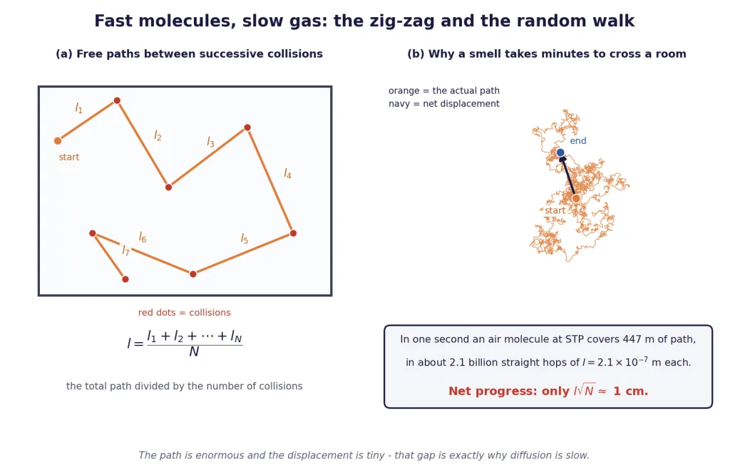 Zig-zag molecular path with free paths labelled, and a random walk