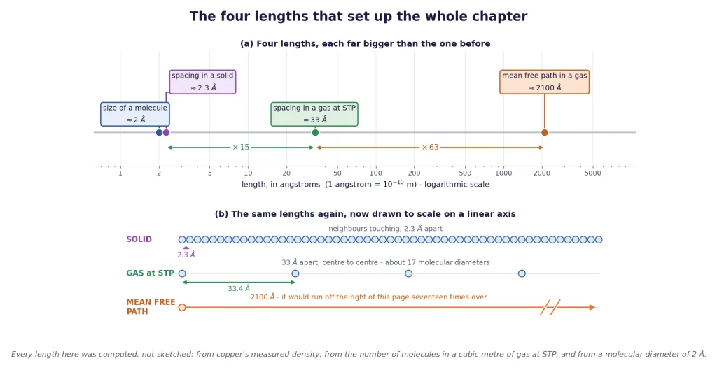Molecular size, solid spacing, gas spacing and mean free path on one scale
