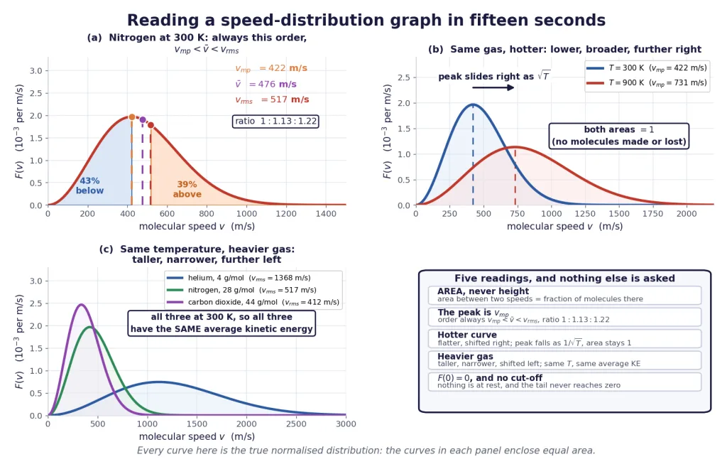 Maxwell curves read four ways: three speeds, temperature, molar mass, five readings