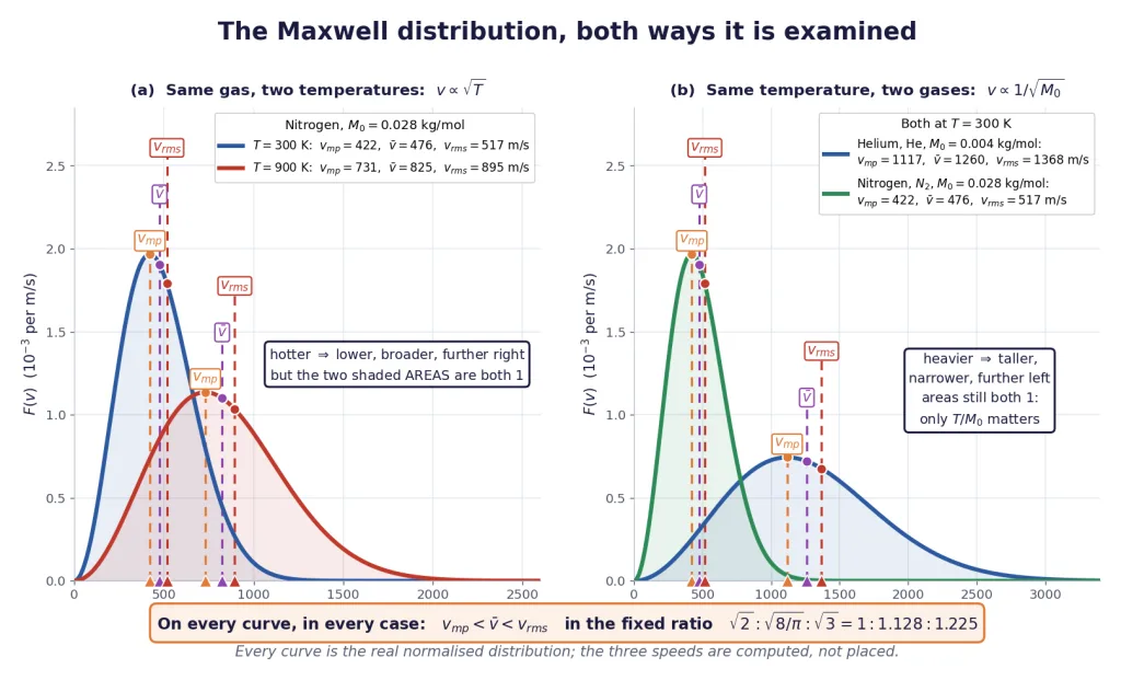 Maxwell curves at two temperatures and two molar masses with three speeds marked