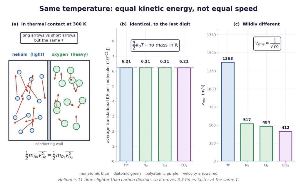 Two gases in thermal contact with equal kinetic energy bars but unequal speed bars