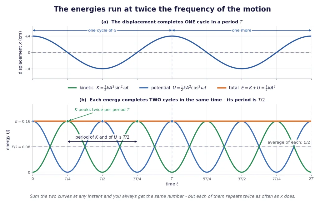 Kinetic and potential energy cycling twice per displacement cycle, with flat total