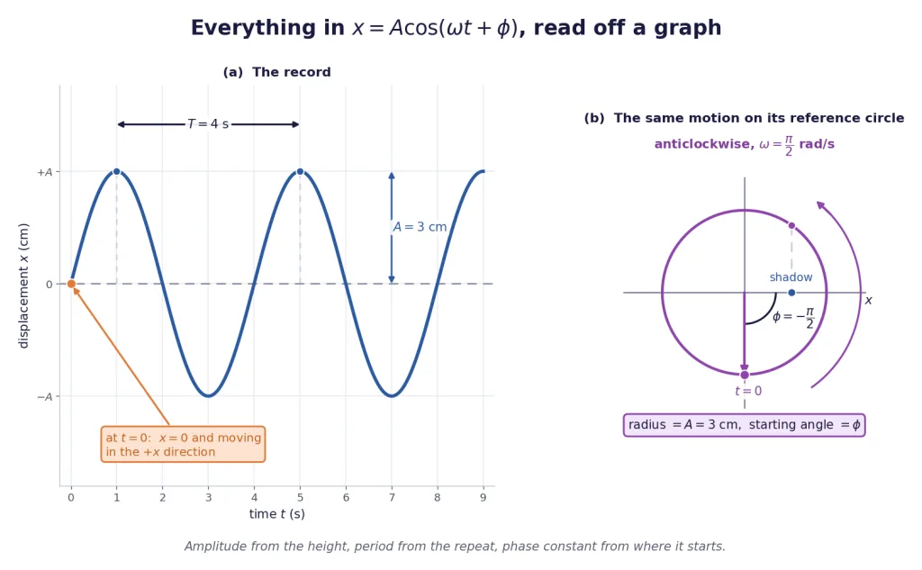 Sinusoidal displacement record beside its reference circle, amplitude and period marked