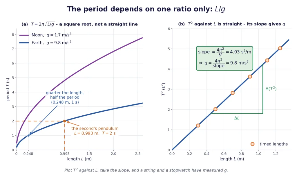 Period against length for Earth and Moon, and T squared against length