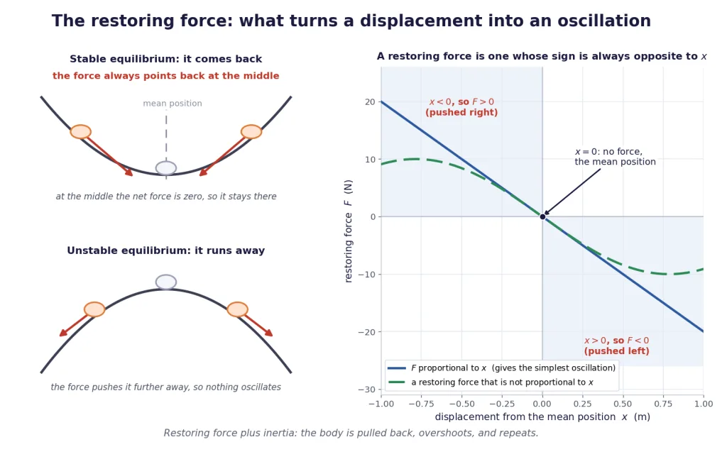 Ball in a bowl versus ball on a dome, with a restoring-force graph