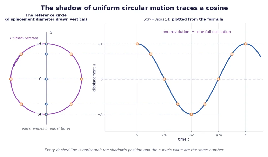 Circle positions connected by horizontal lines to the matching points of a cosine curve