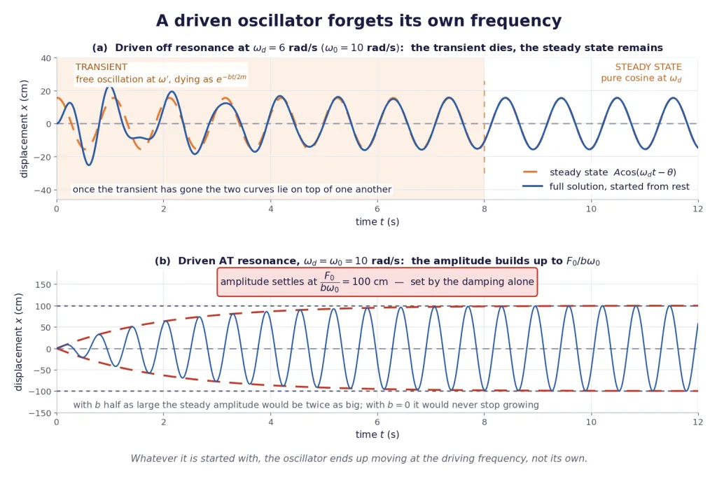 Driven oscillator transient dying away leaving steady oscillation at driving frequency